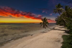 PJS00248_genErase (1)