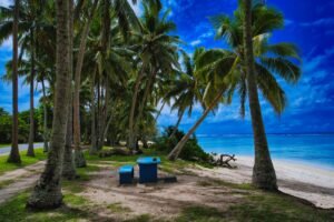 PJS00360_genErase_genErase